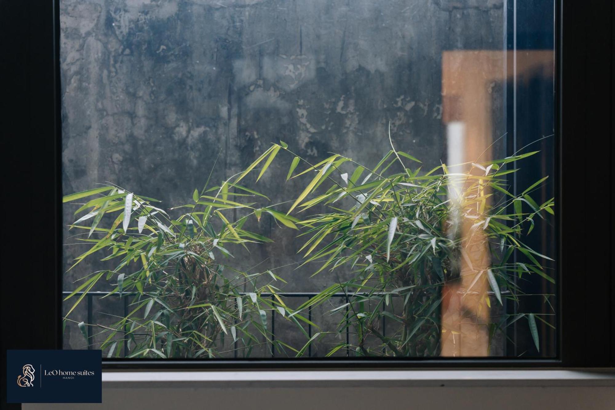 Home Suites -Natural Light -Projector -Spacious - 2Br Incenter ฮานอย ภายนอก รูปภาพ